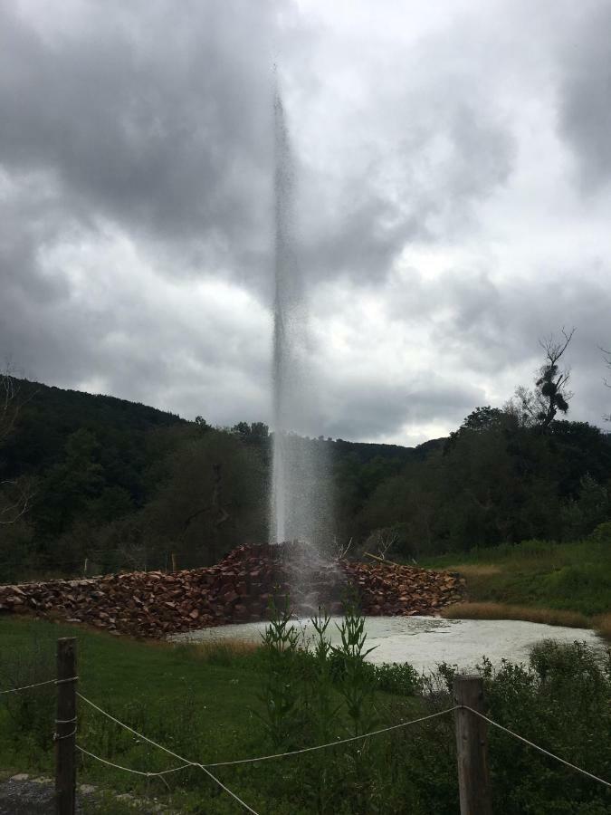 Gasthaus Stammbaum Andernach Exteriör bild